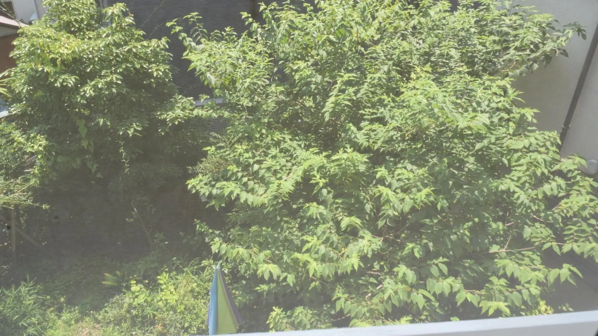 Bed & Breakfast Ems Enoshima クラシックゲストハウス ペットok Fujisawa